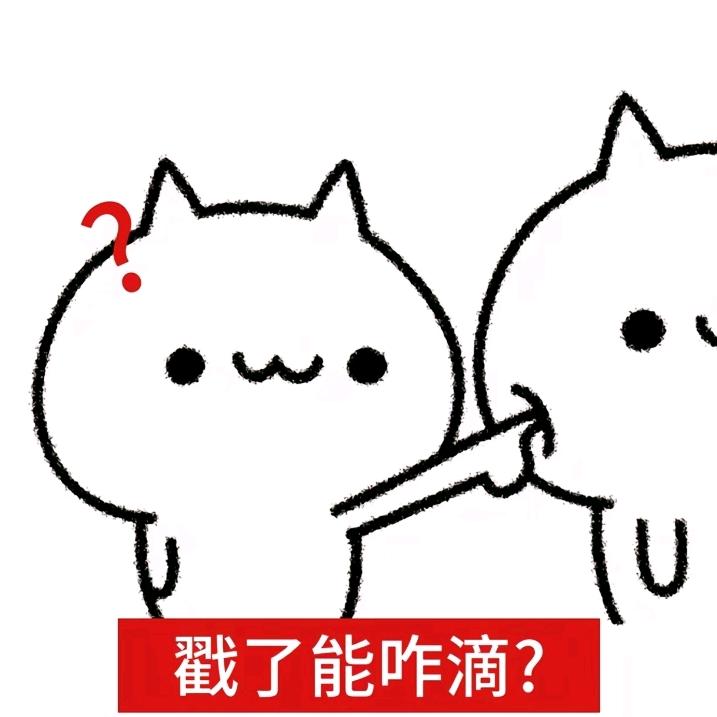 房檐下的猫