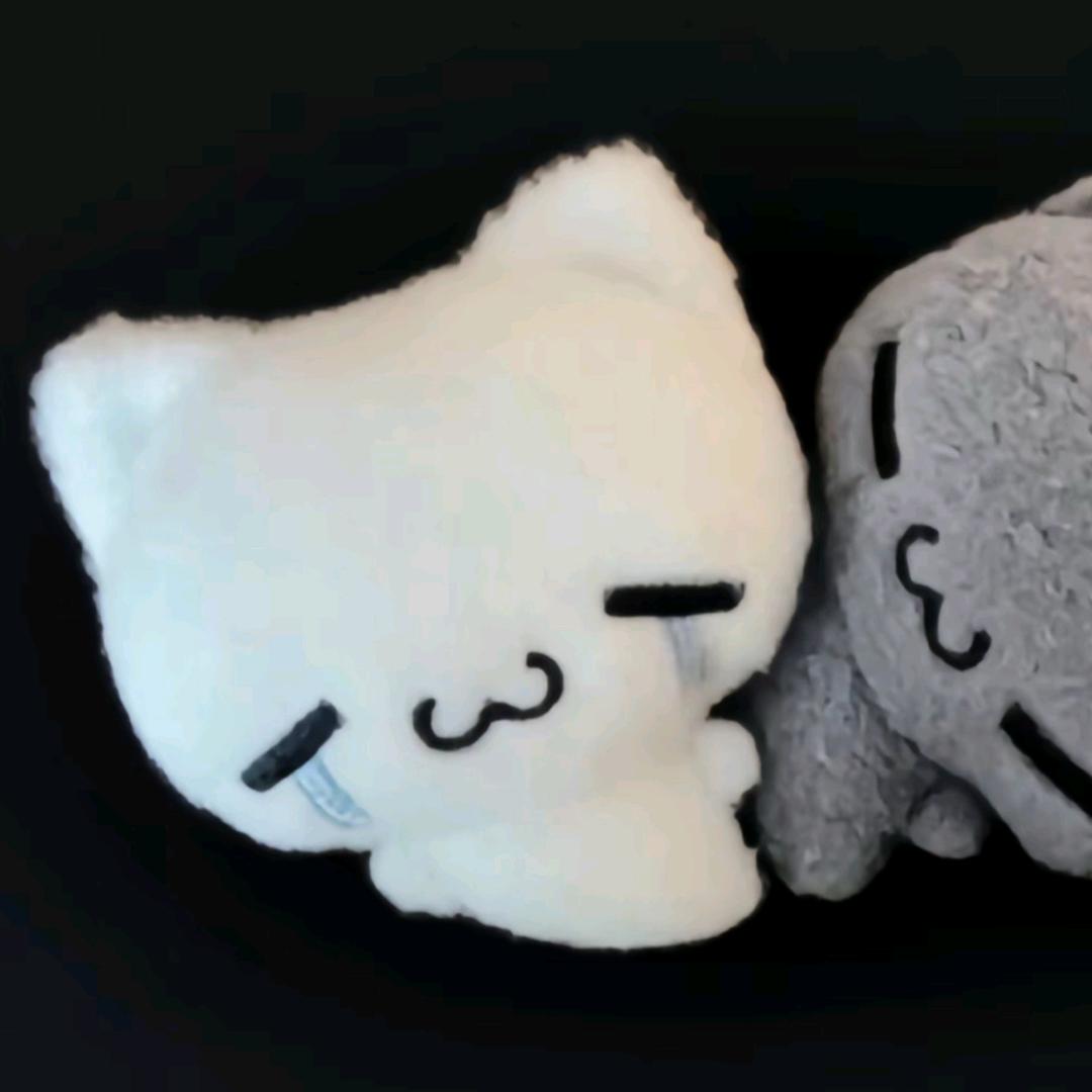 不要西红柿