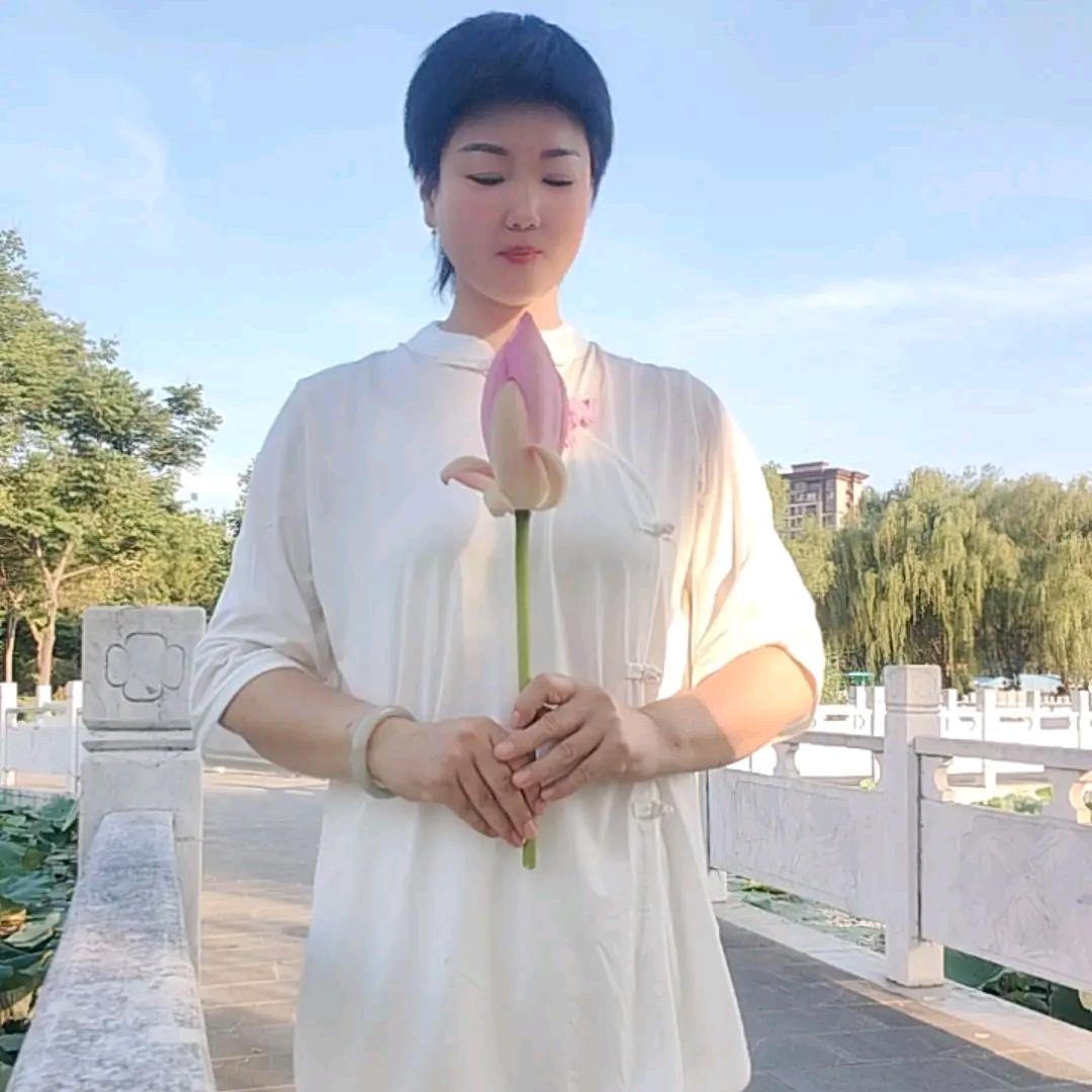 净雅