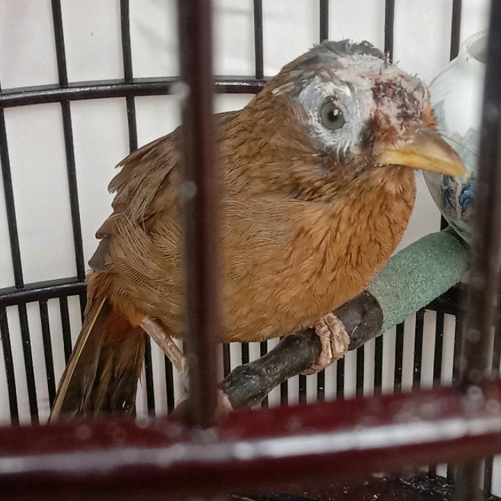 今生有你最好