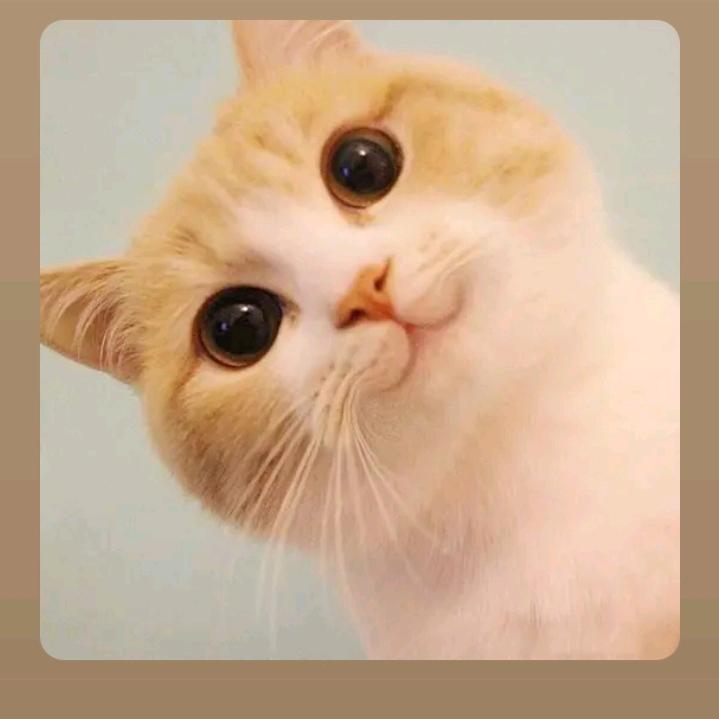 叶睿