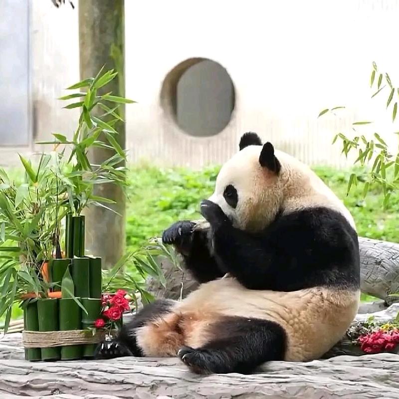 刑天铠甲修罗铠甲乃王者铠甲铠甲