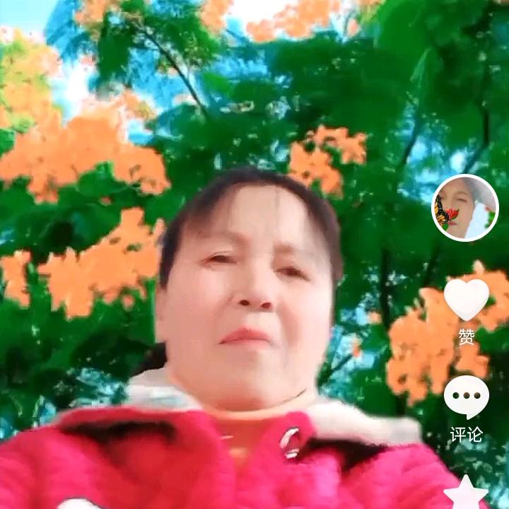 珍姐