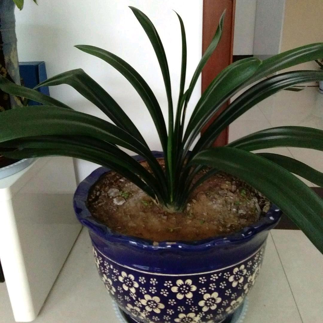 💖里有你《梦想》