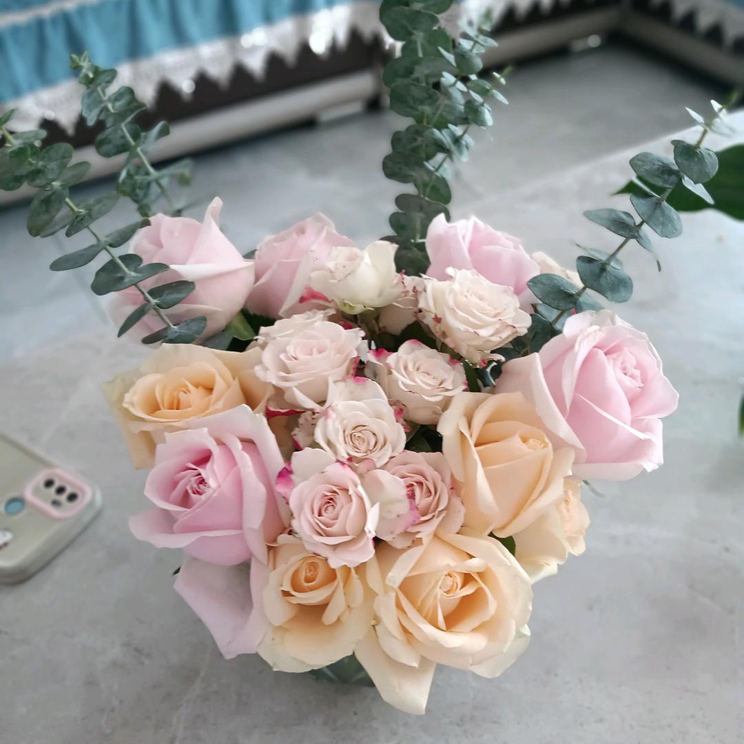 仙女不༄讲李༻