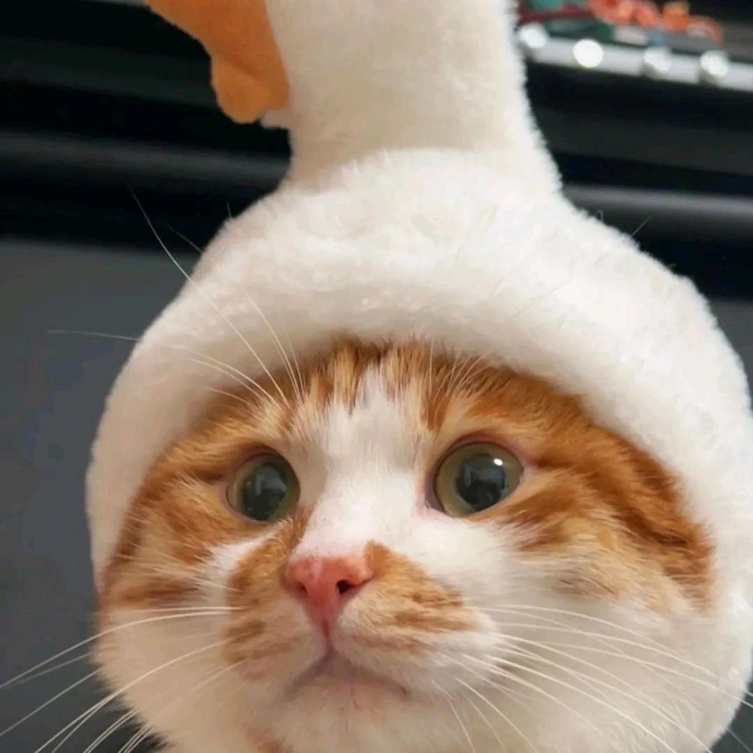 每天都想吃鸡腿