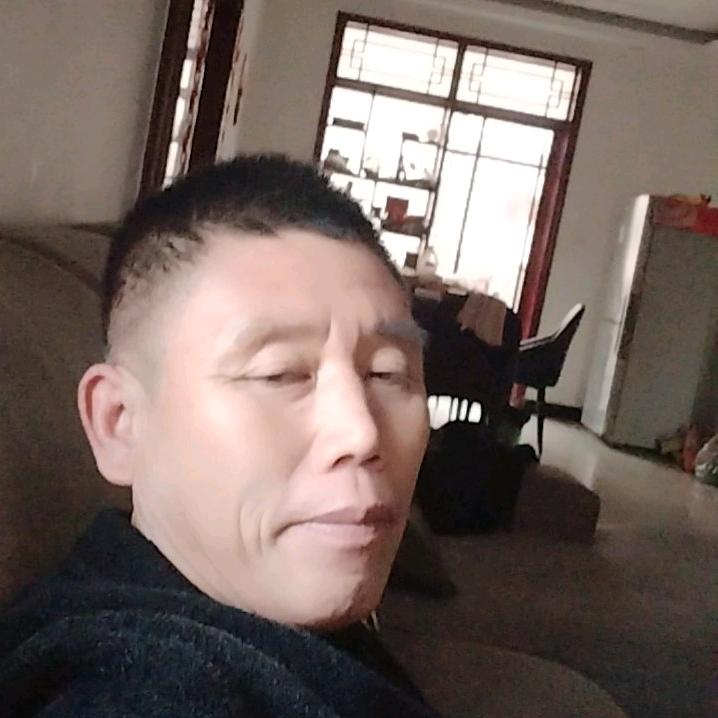 寒梅落雪