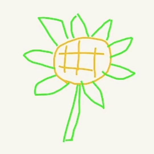 不做犟种好不好🌻