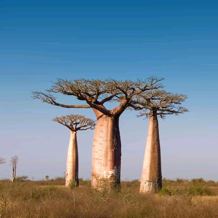 爱旅游的老头子