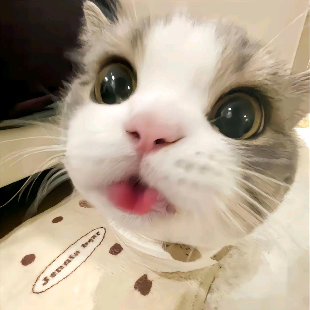 吹美美的小泡泡。