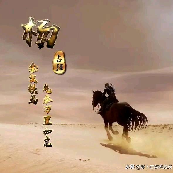 玄龙08