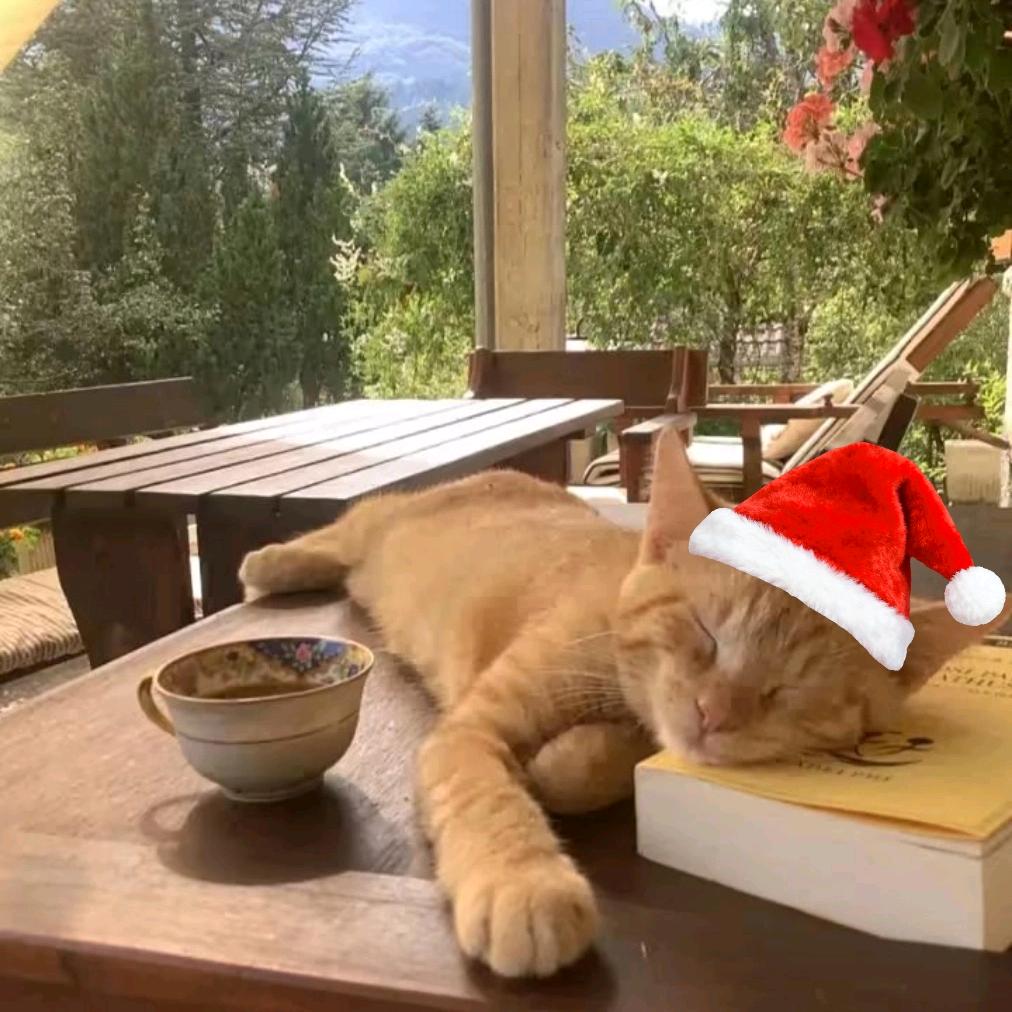 哈基岁（补考版）