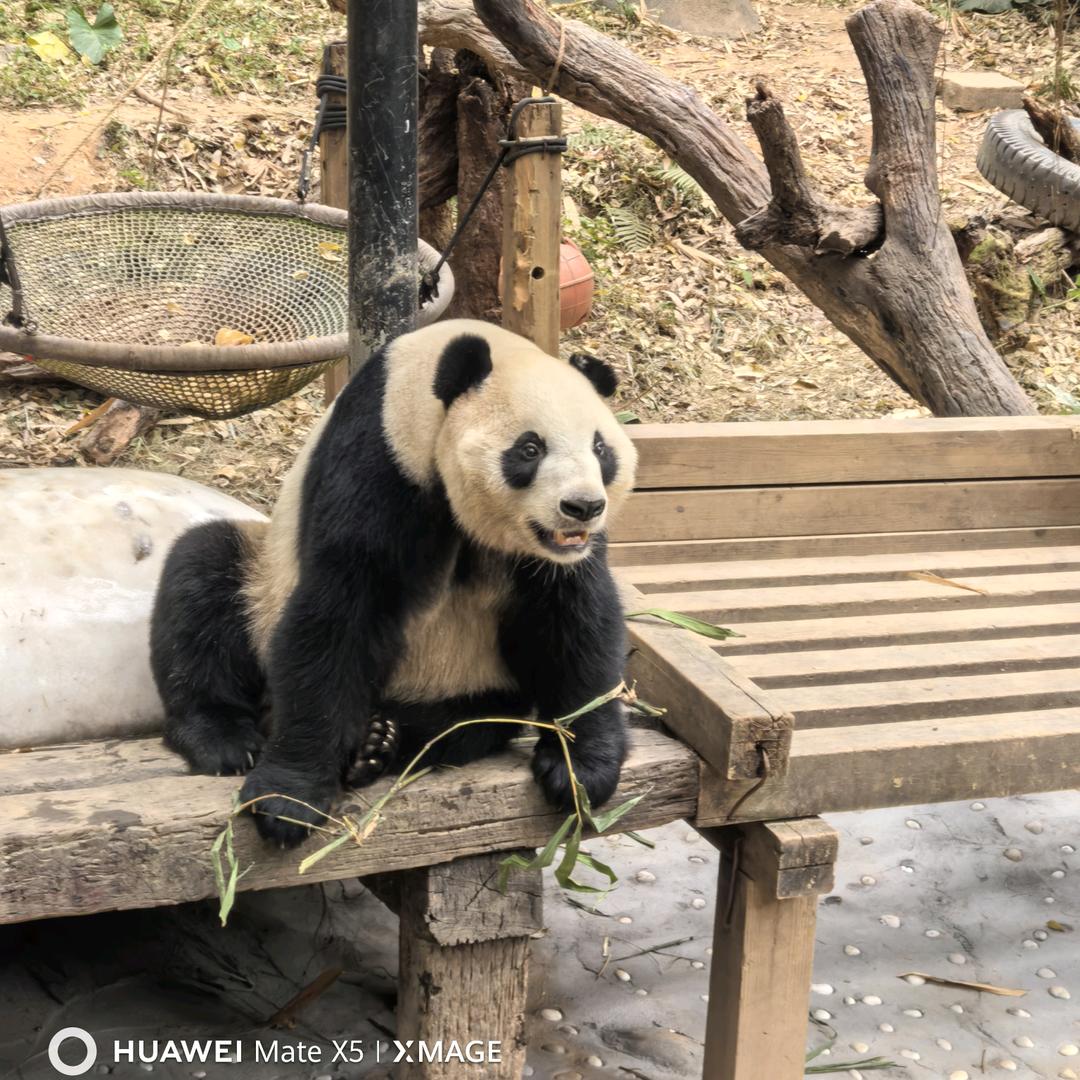 洋福烟花小郑