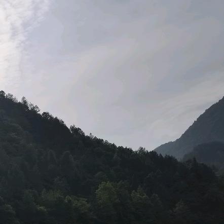 中江松哥