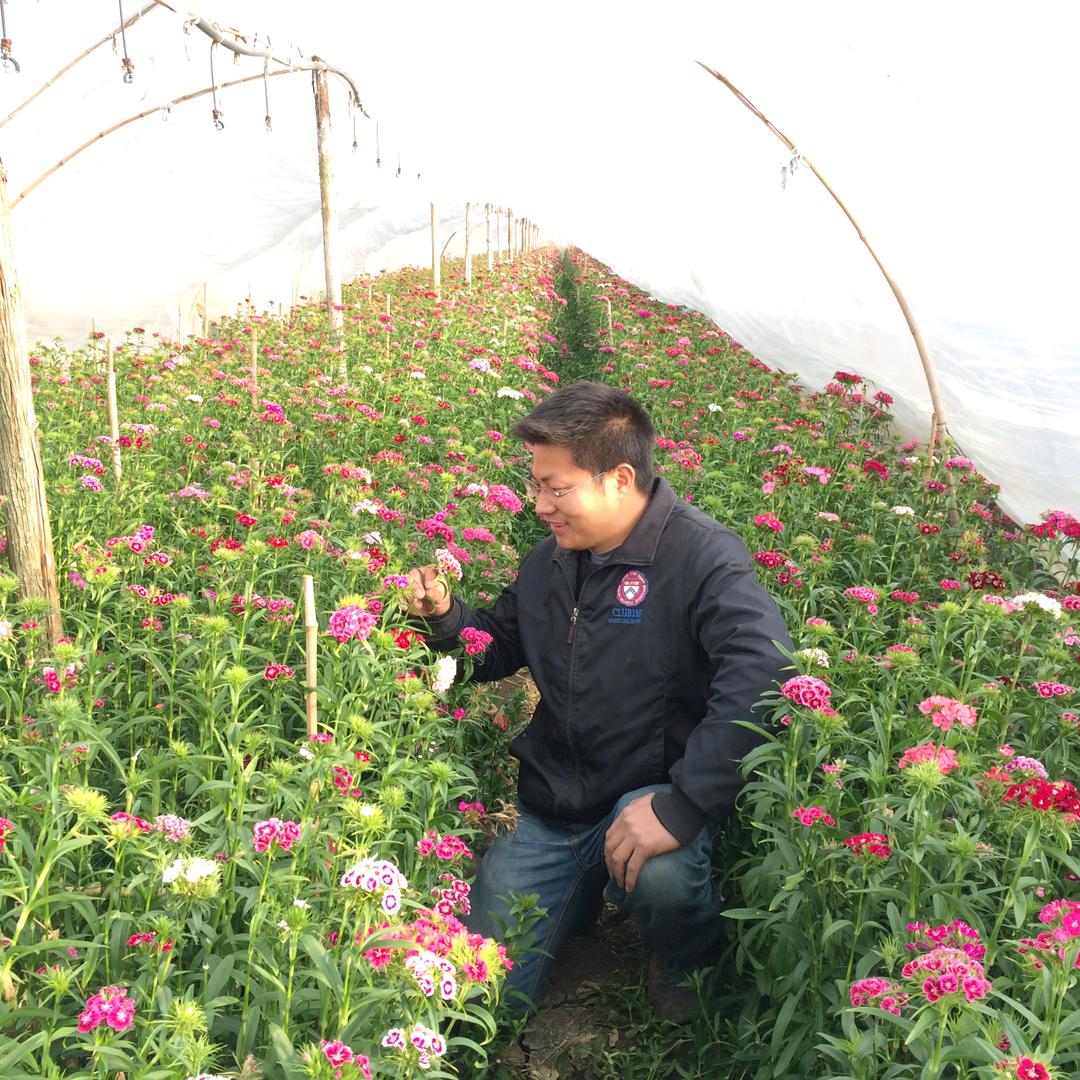 作丰客:吃瓜群众