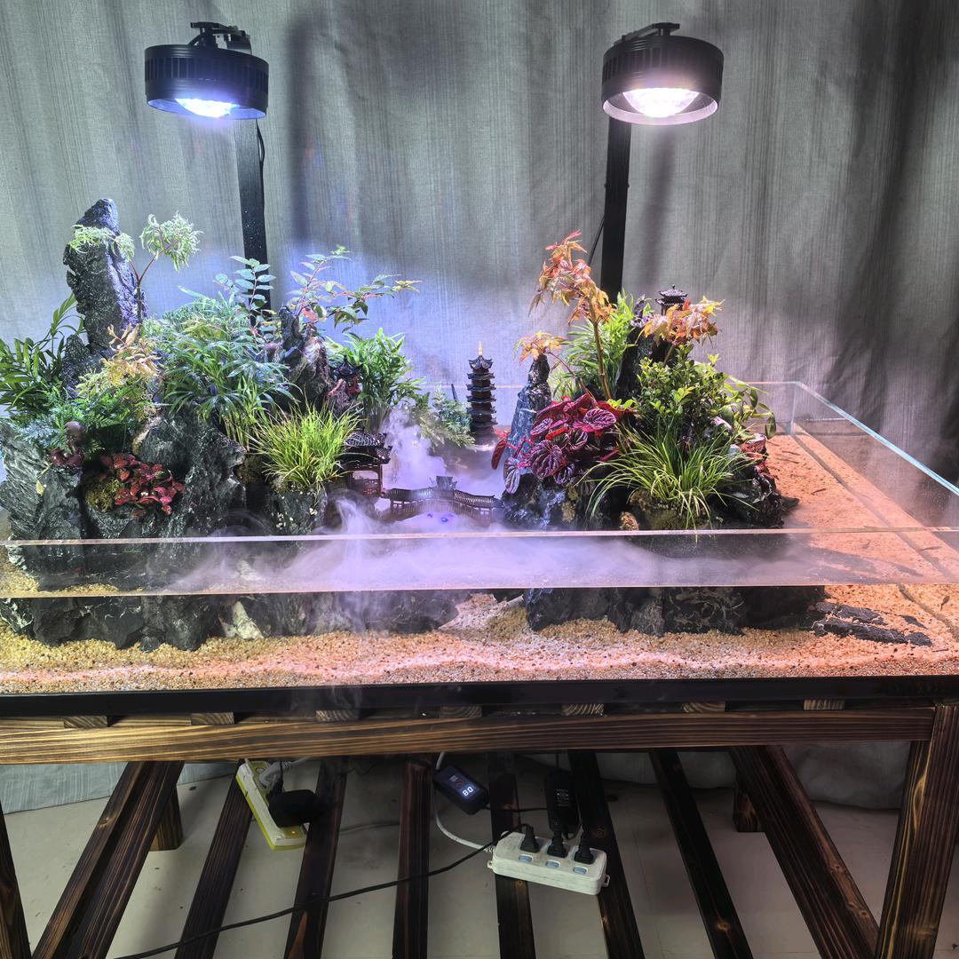 艺景水族景观设计