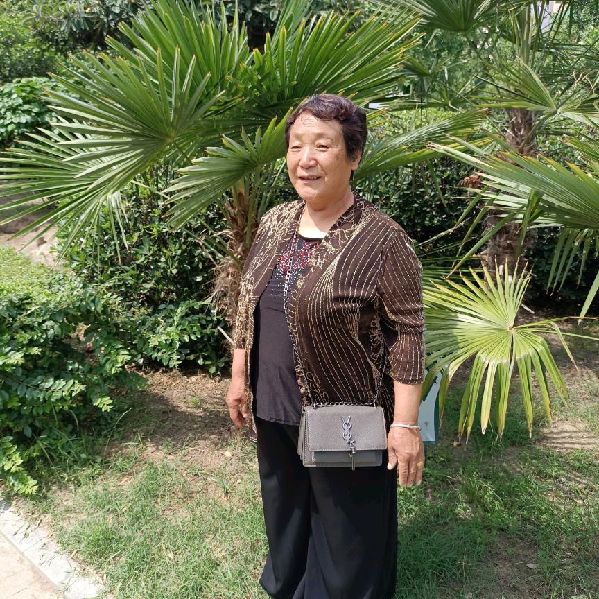 杨秋菊