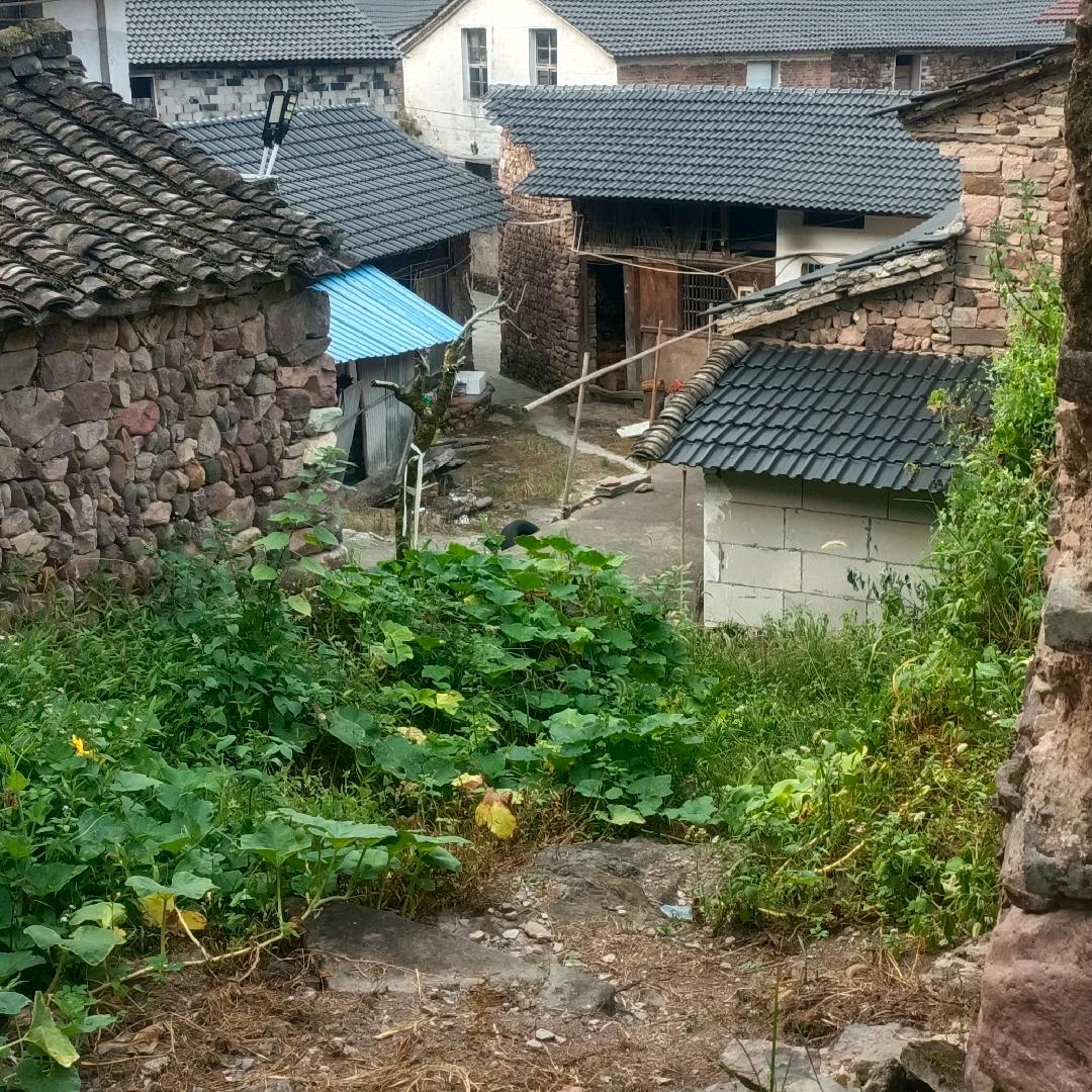 挣钱养家