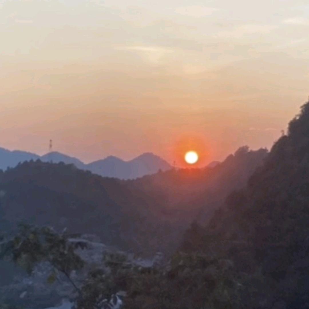 柔诺纯风