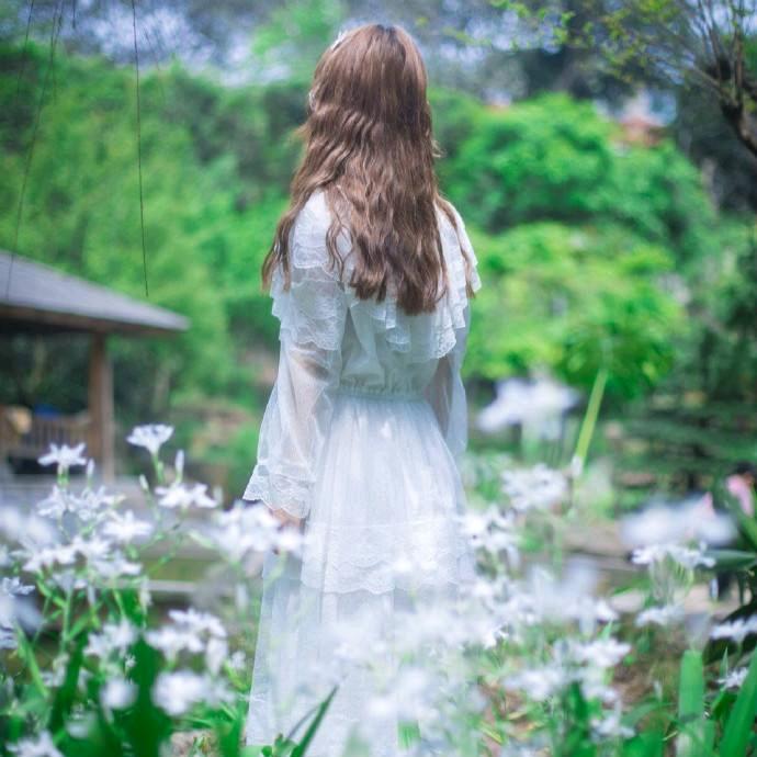 打不死的小强