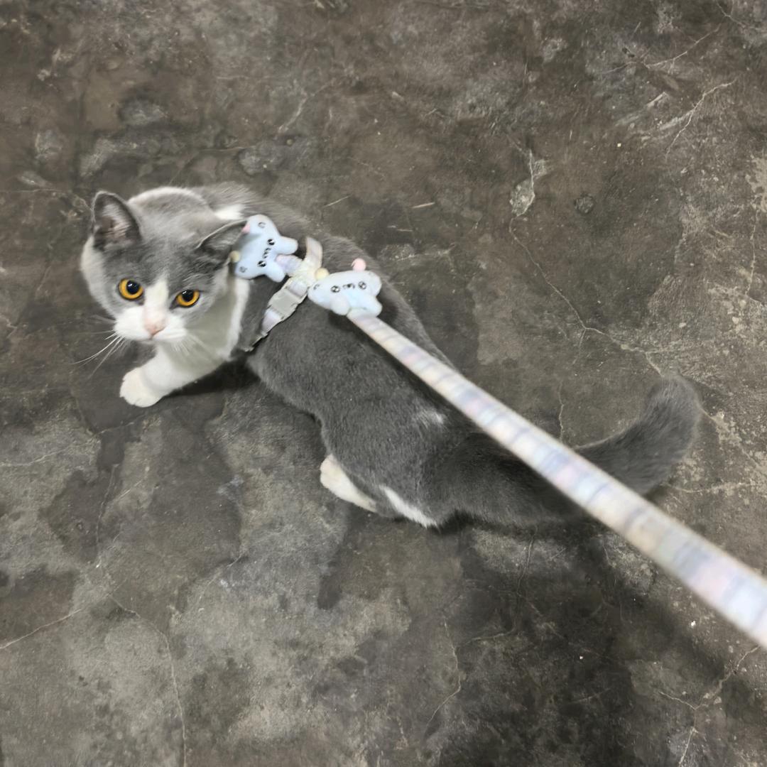 咧开嘴笑出声