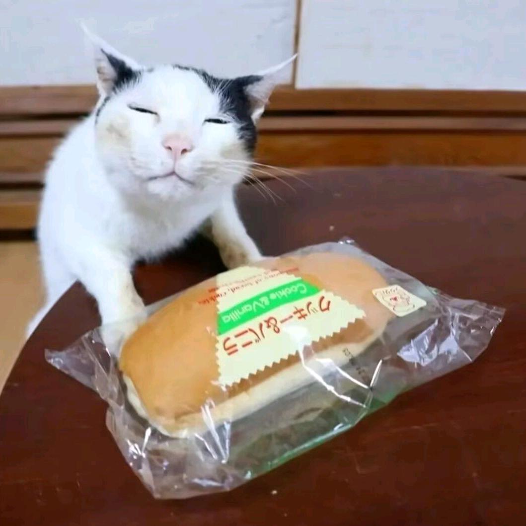 AAA海拉鲁可口岩批发商