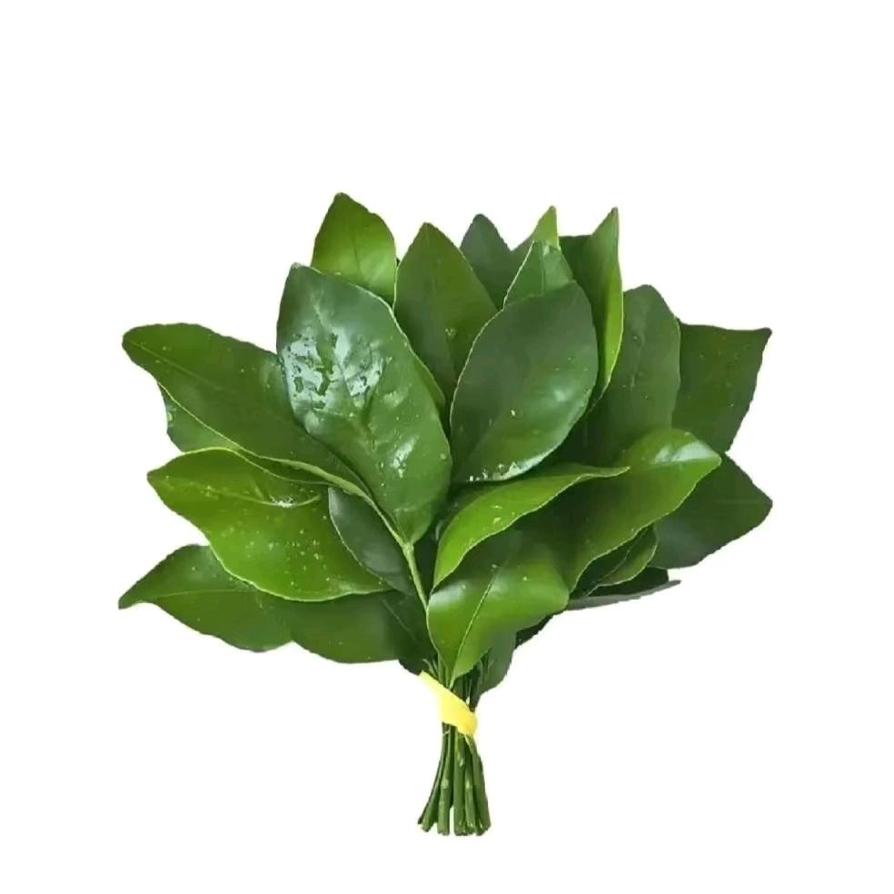 不对的呢🌾（努力去见十个勤天版）