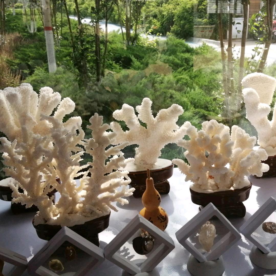 ༺ཌ白ༀൢ🐍子༒画