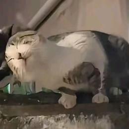 谭浮我要追随你一辈子