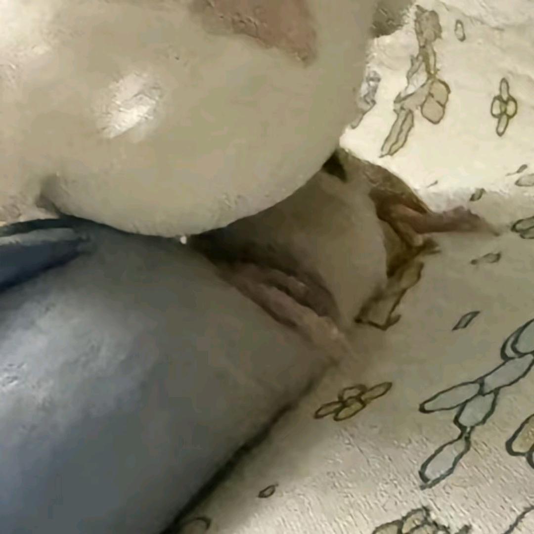 我是大蟀歌
