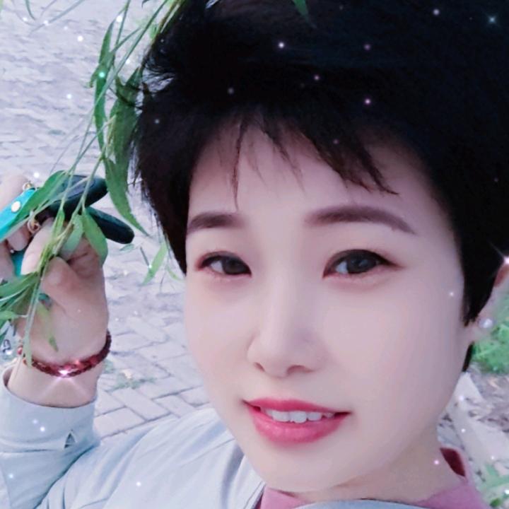 阳光总在风雨后