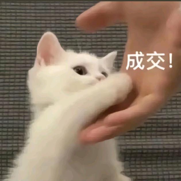 🌈事宜