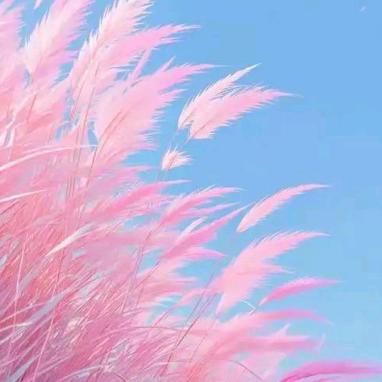 ༄微笑💞向暖꧂，