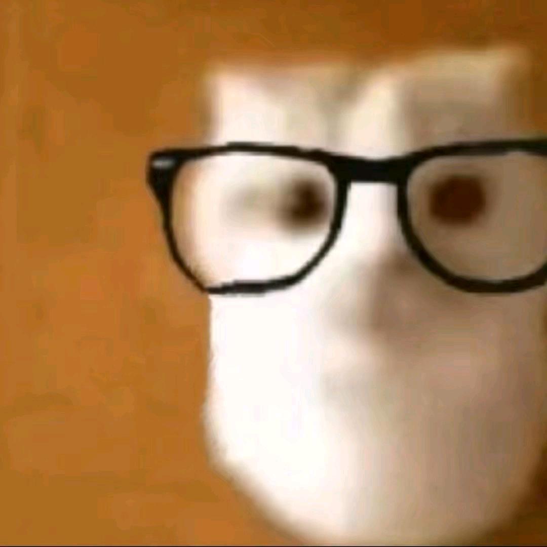 一个地道的老实人