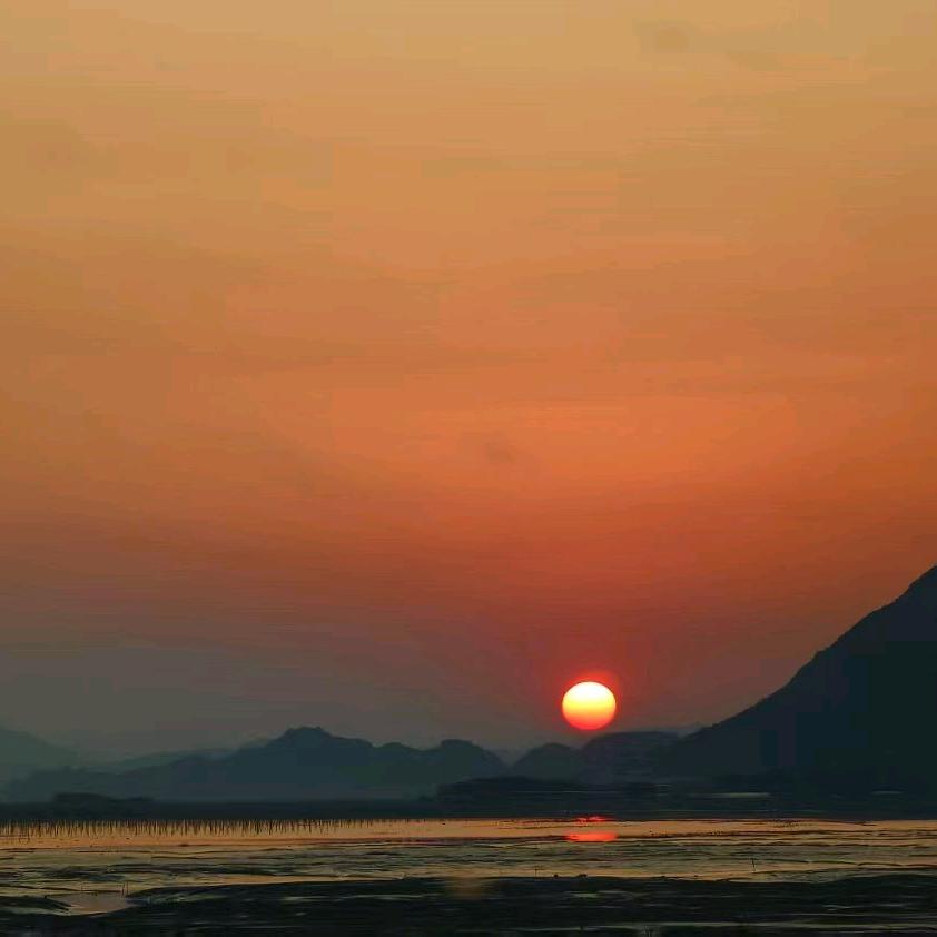 睡不醒(¯﹃¯ԅ)