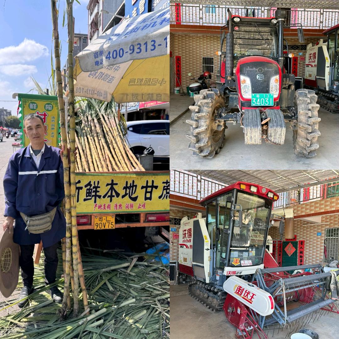 雄哥-白沙布甘蔗园