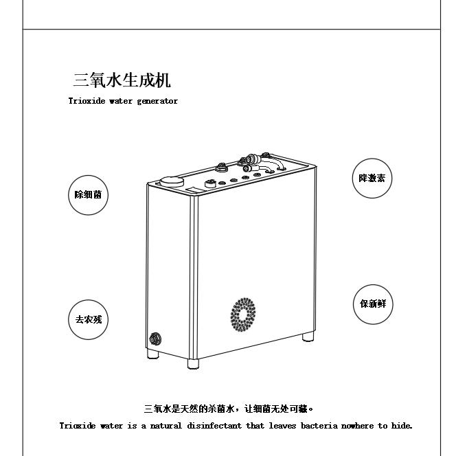低压电解臭氧发生器