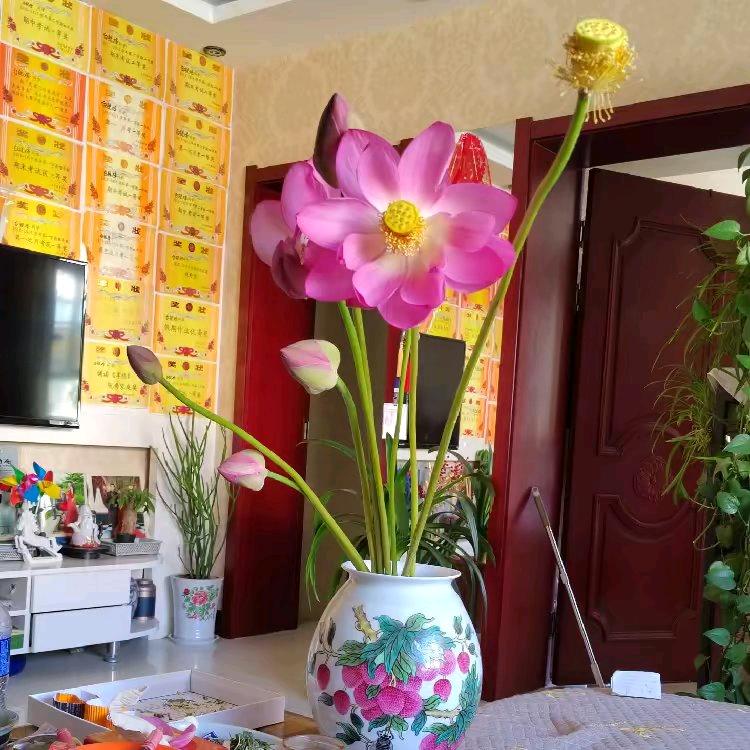 境由心转，公益征婚相亲