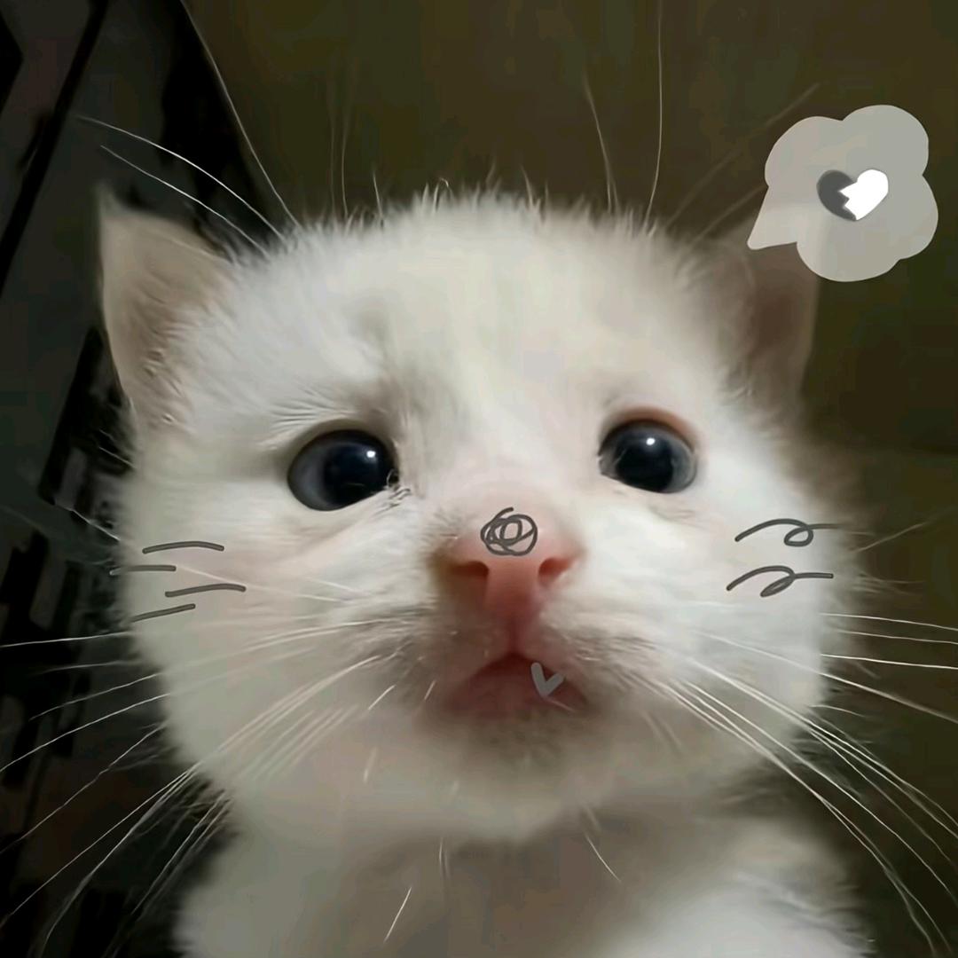 腐った骨