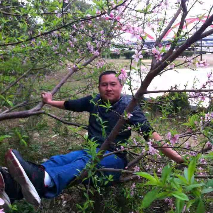 用户挑战自我