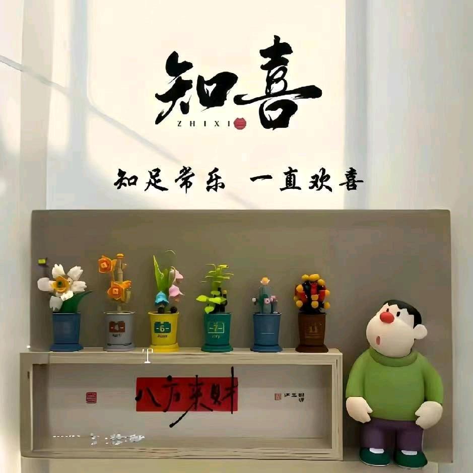 🍊橘气满满吖～