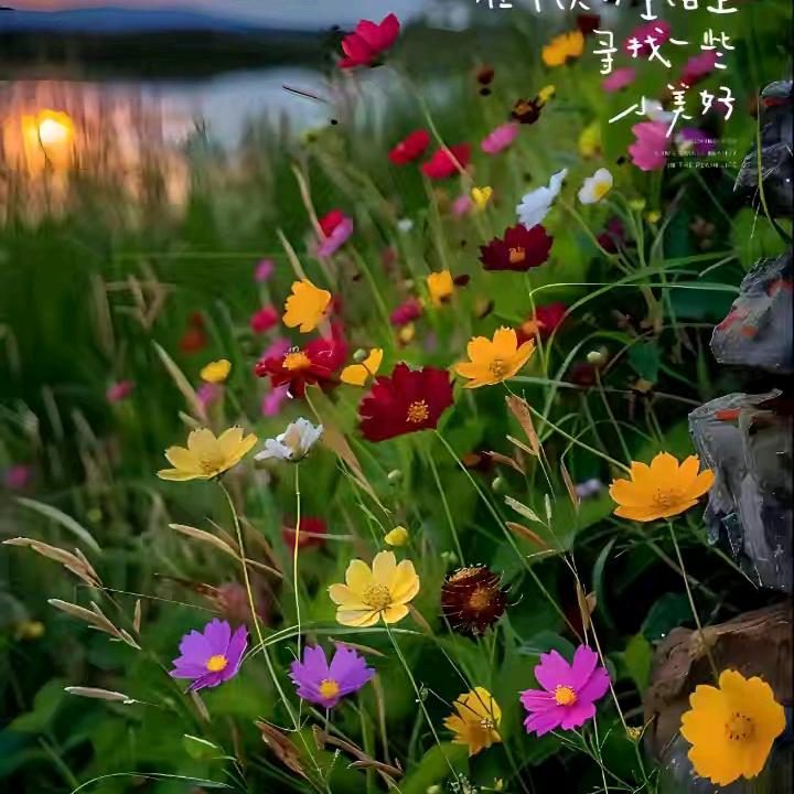 弘文呀一