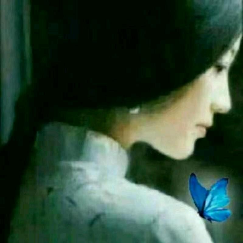 蝶舞·洛🦋