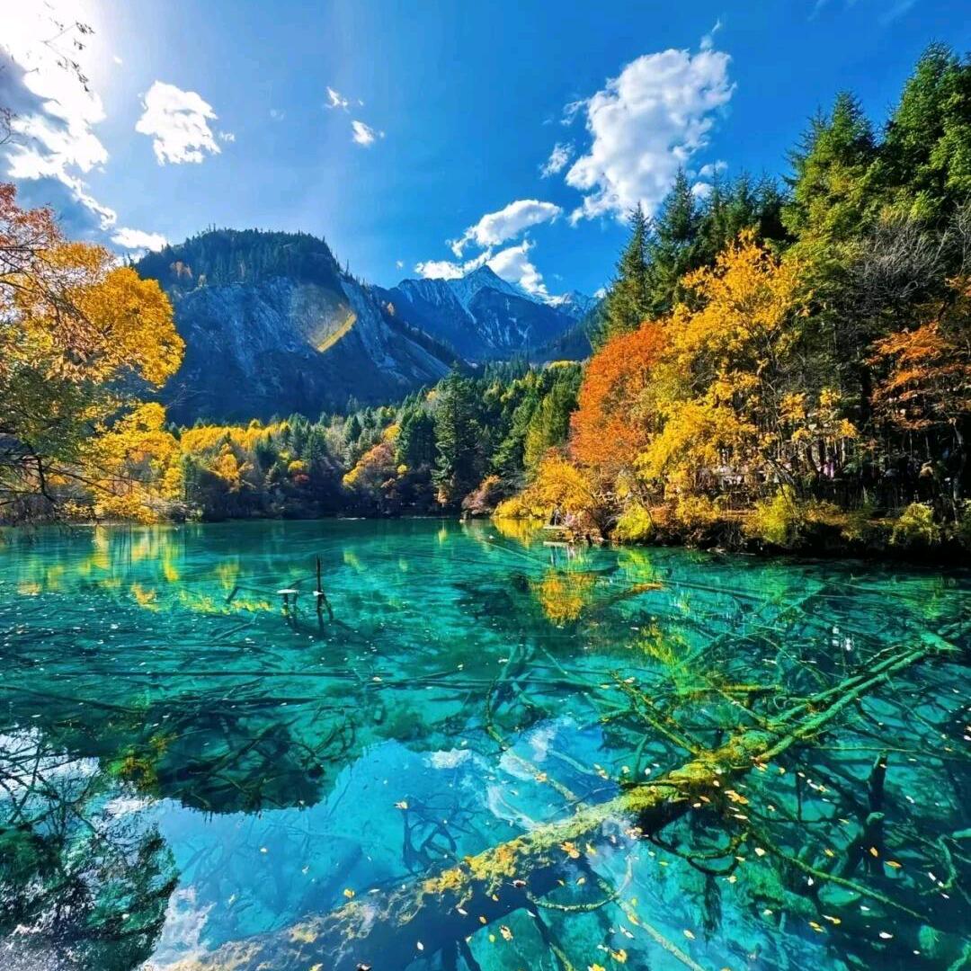 ねを日常生活记录Þşএ༊