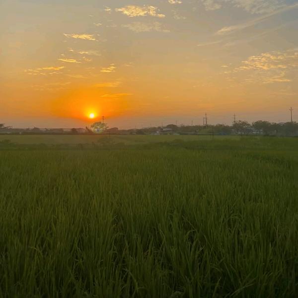 风吹十里