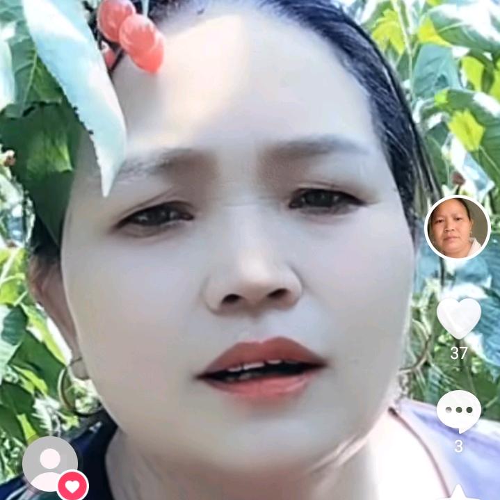 百花争辉