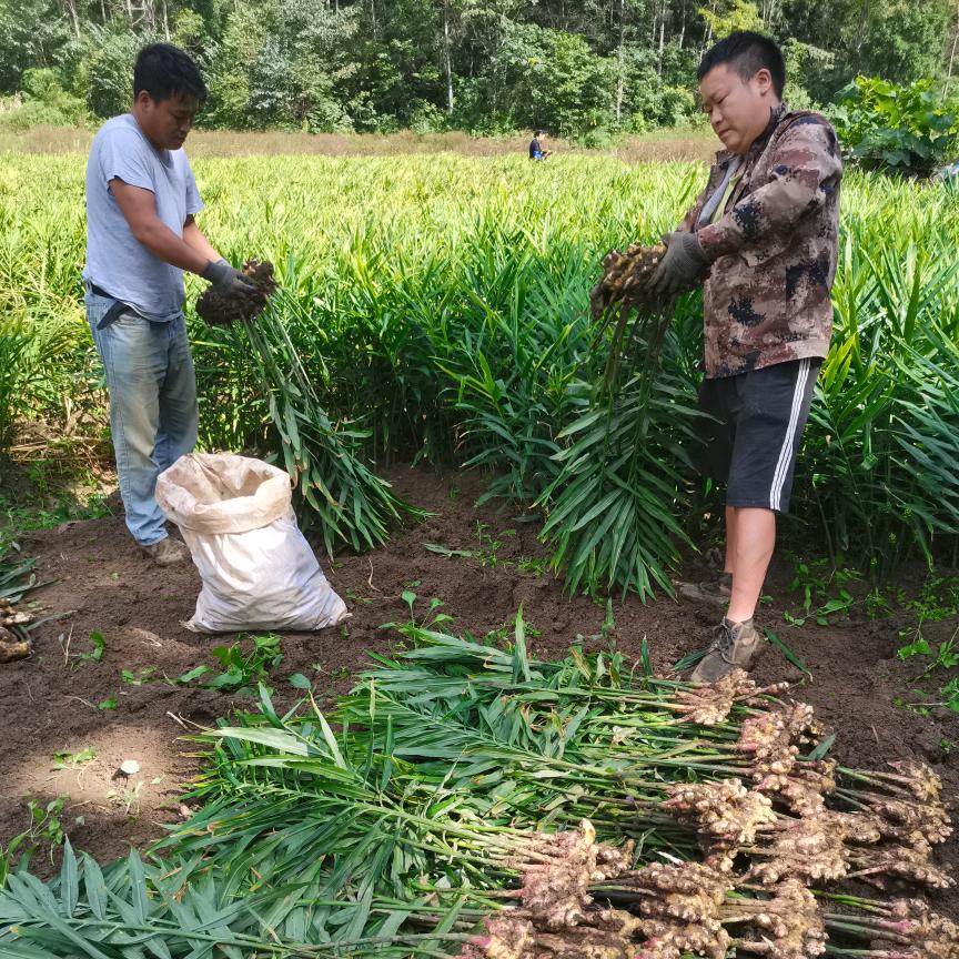 瀑乡欣丰绿色农品严选