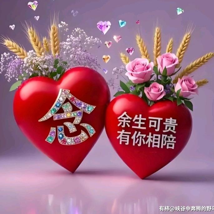 静心🌹🌹🌹🌹🌹悠燃