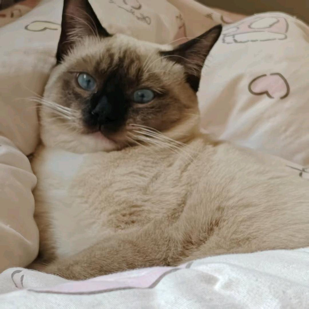 `㝊怘