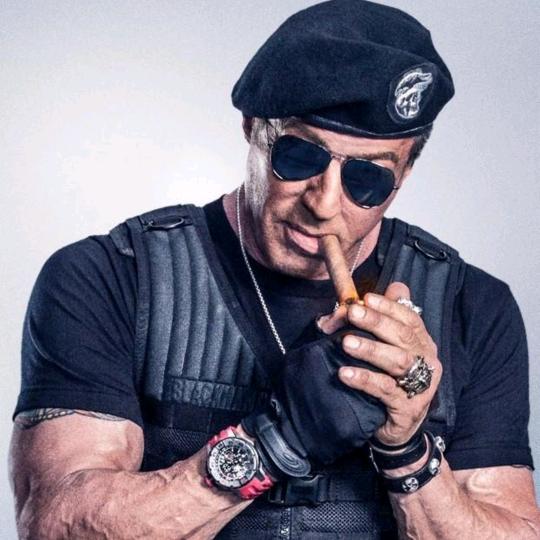 一天到晚游泳的鱼